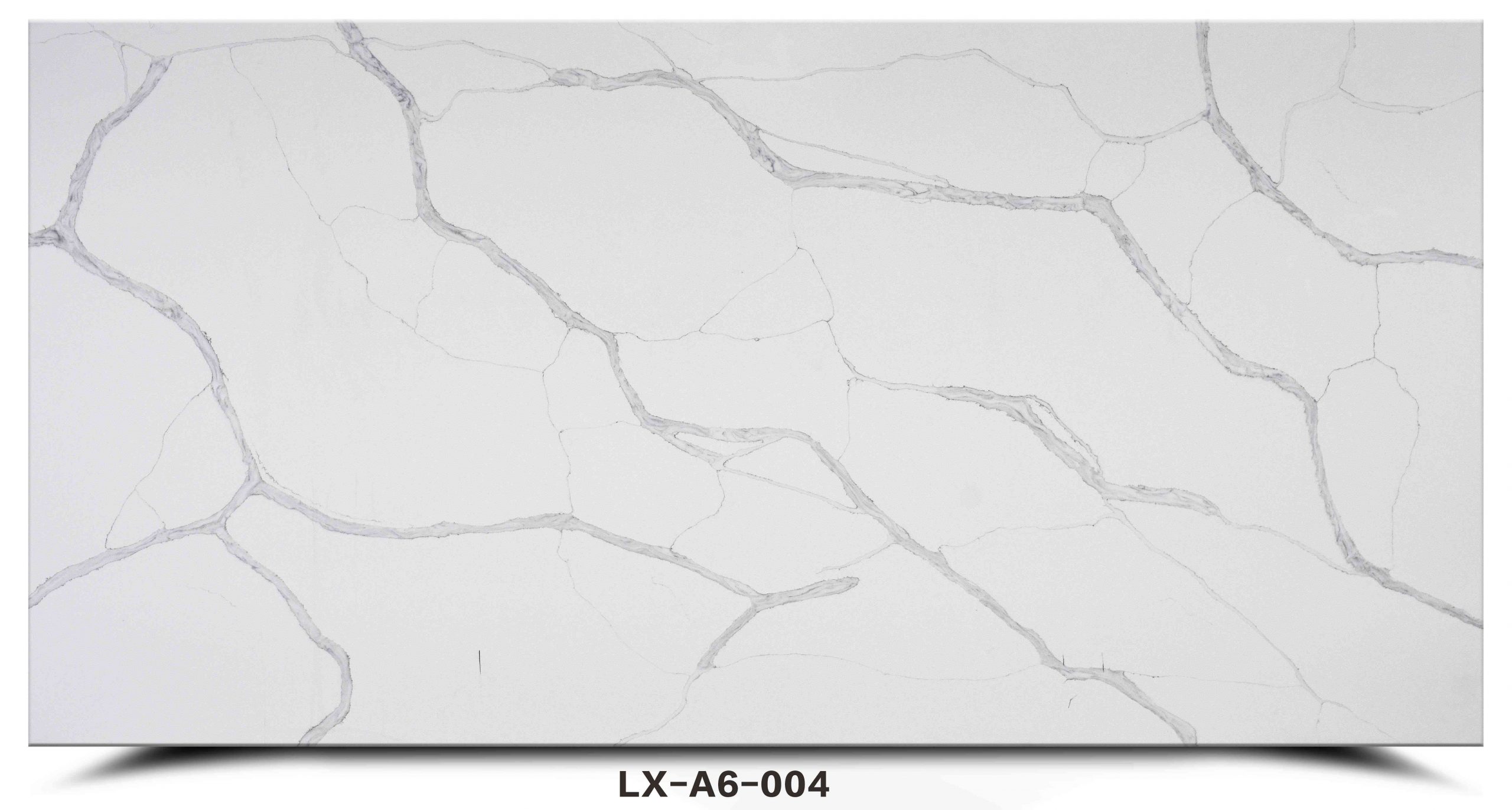 LX-A6-004